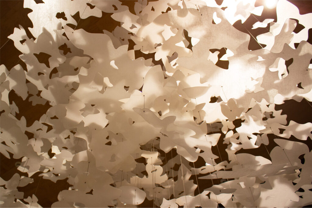 CLINE - The Cline Detail 2 2